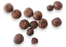 BioPerine® Black Pepper Extract - bioavailability enhancer in Joint Genesis for better ingredient absorption