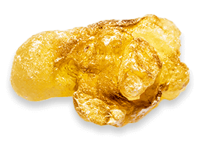 Boswellia Serrata extract - natural joint health ingredient in Joint Genesis for mobility support